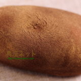 銘菓錦光堂こがねいも